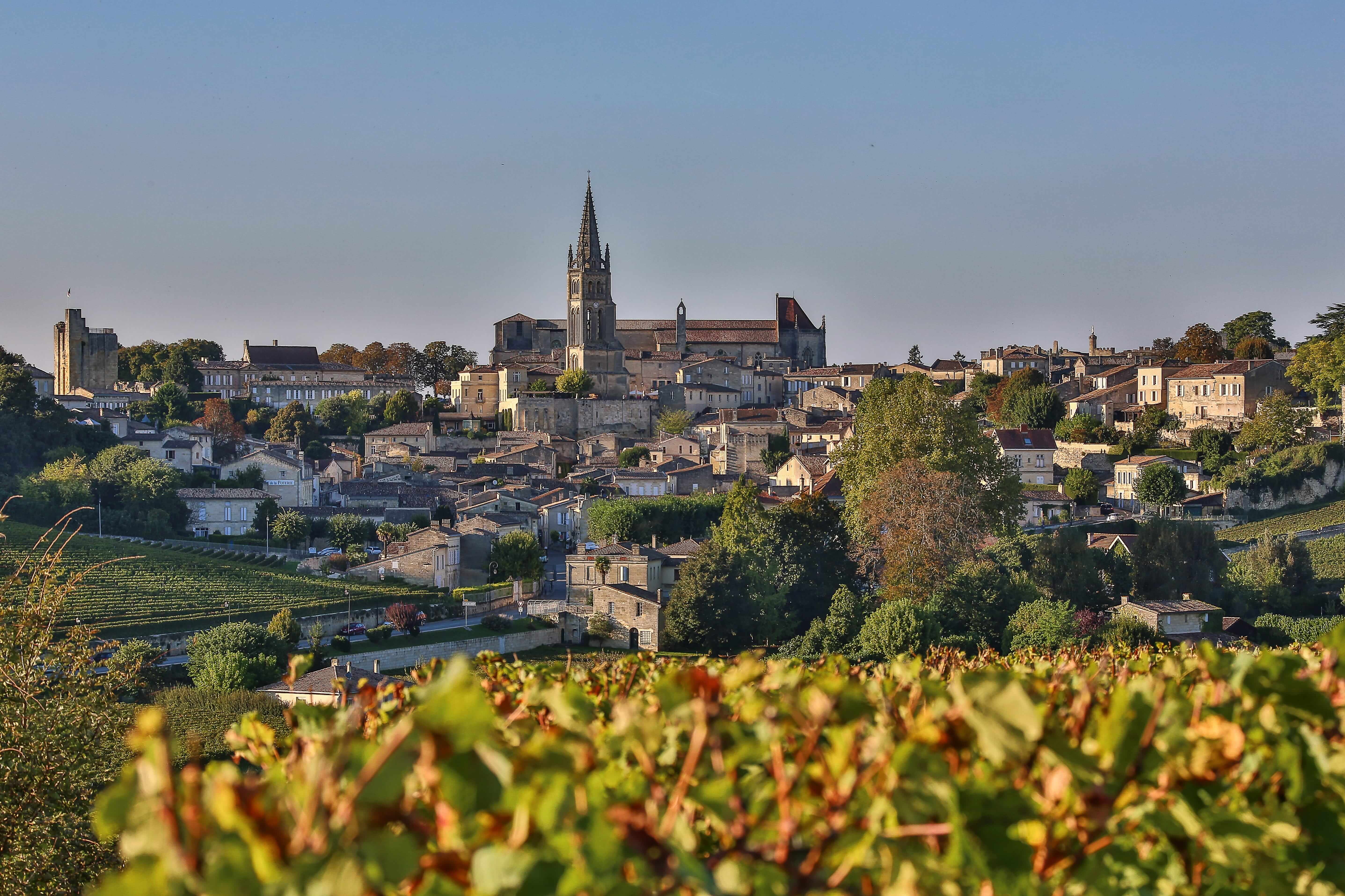 Private Saint Emilion Wine tour Saint Emilion Heritage "Unesco" and Mustsee Chateaux of Saint